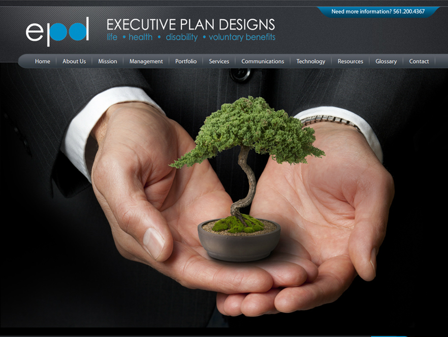 Executive Plan Designs