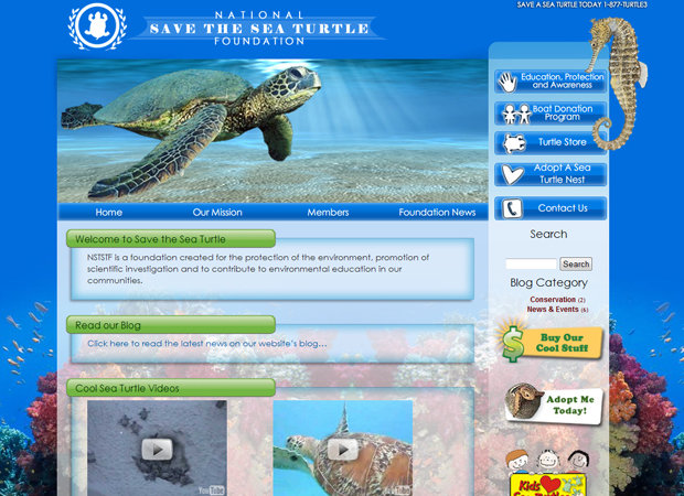 Save the sea turtle